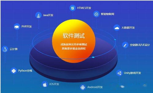 建立高效的軟件測(cè)試管理體系 技術(shù)推廣與實(shí)施指南